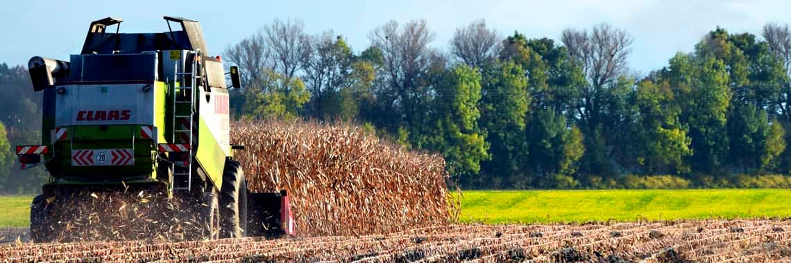 Україна має найбільший в Європі урожай кукурудзи