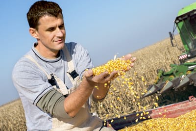 man with corn in hands